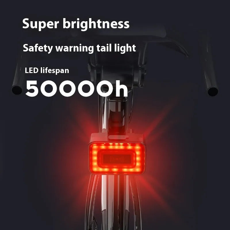 Black radar bicycle taillight with double mount bracket showing type-C charging port.