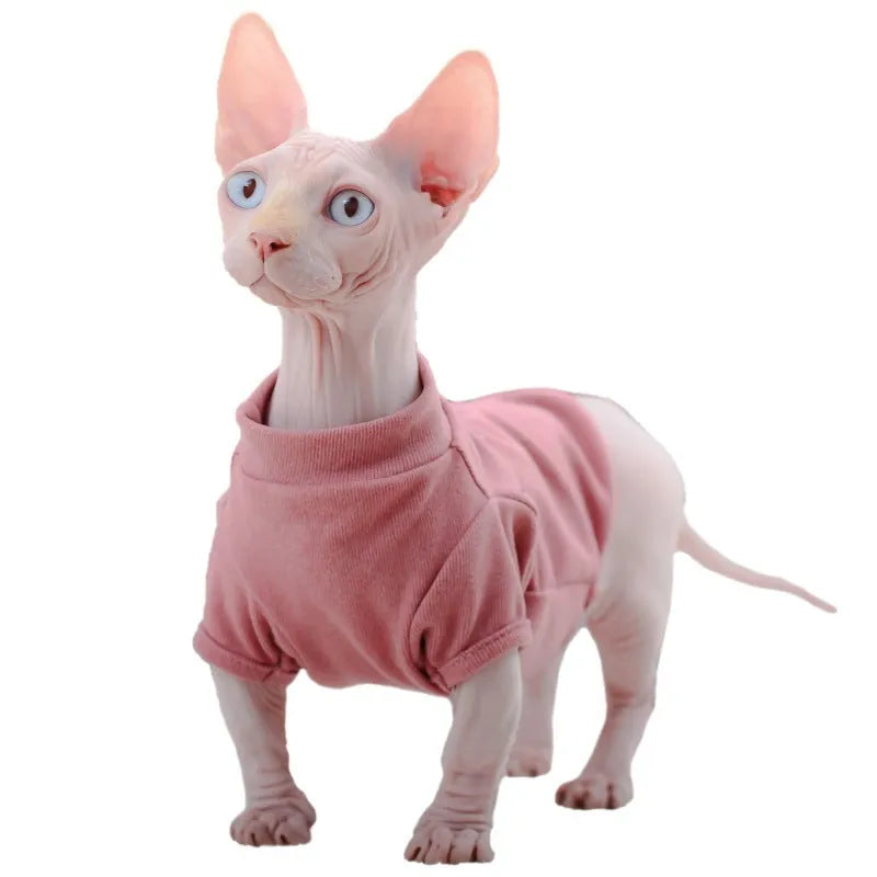 Hairless cat wearing a toothpick Dralon base sweater in cherry pink on a light background