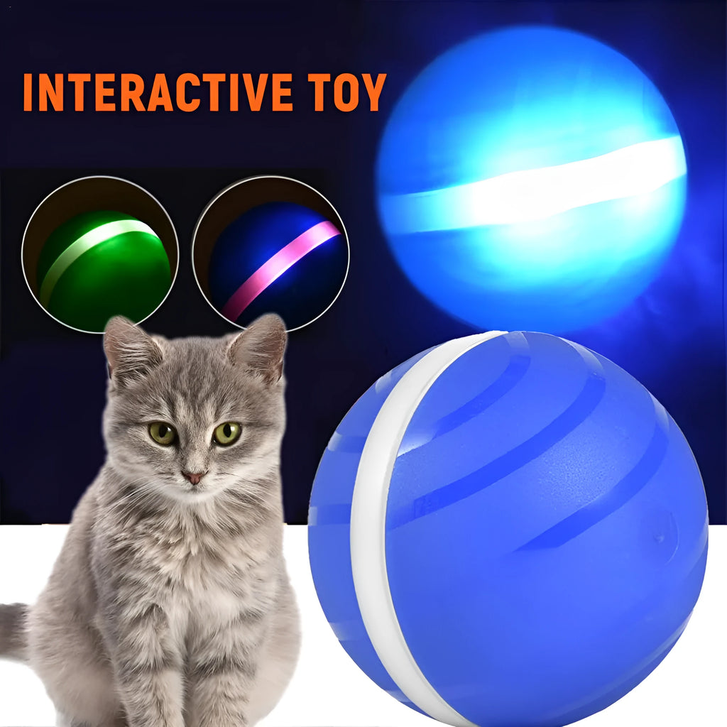 LED rolling flash ball pet toy in rubber with USB charging, shown in black, blue, and pink colour options
