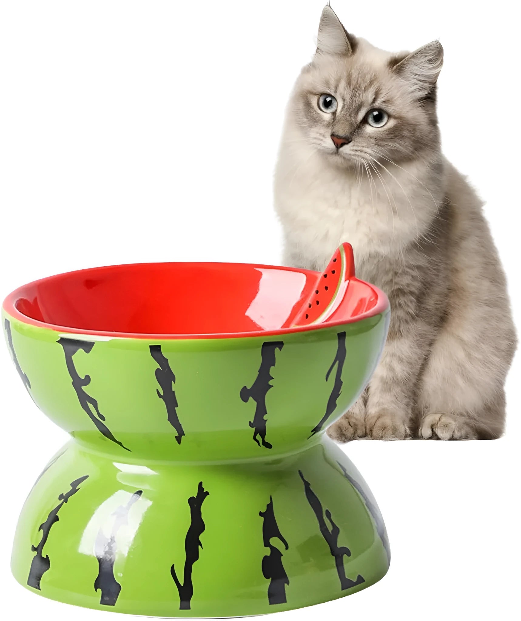 Ceramic raised cat bowl with tilted design in orange colour, showing slip-resistant base and elevated feeding height