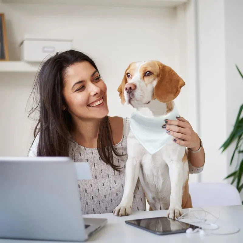 White blank polyester dog scarf for thermal transfer customisation showing four size options