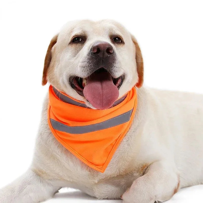 Yellow and orange reflective dog bandana with adhesive strap, shown on a dog's neck.