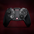 Black Gaishi wired PC game controller with type-C cable and analog sticks.