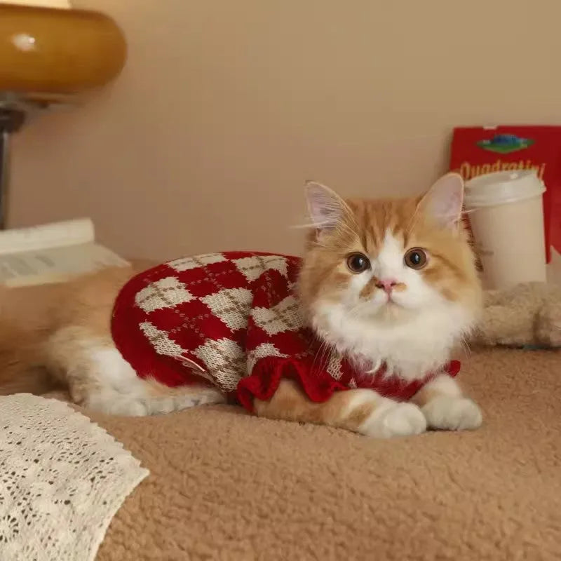 Red cat sweater with cherry pattern and rhombic embroidery, shown on a model cat.