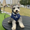 Blue and grey reflective letter hoodie for cats and dogs in slim-fit polyester