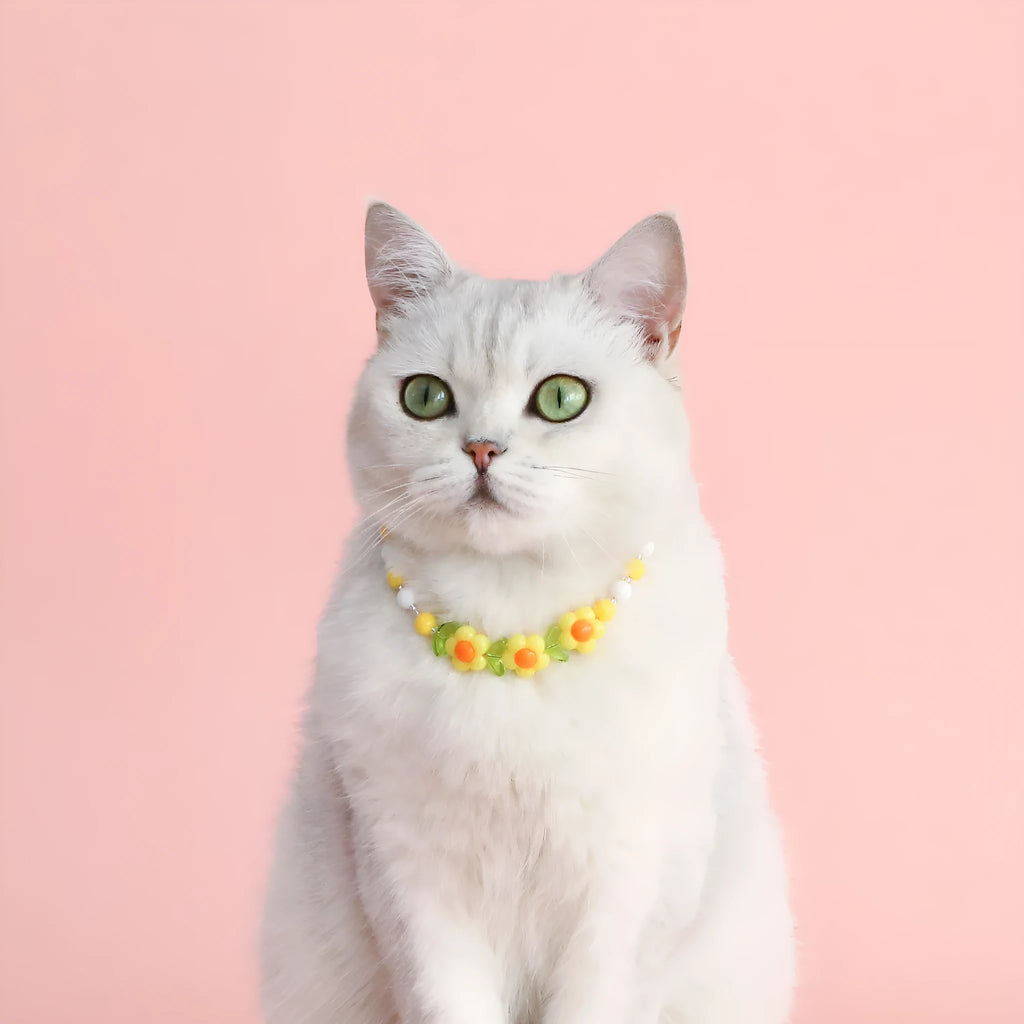Colourful plastic bead pet necklace for a cat, showing rainbow, peach, and small flower pattern options.