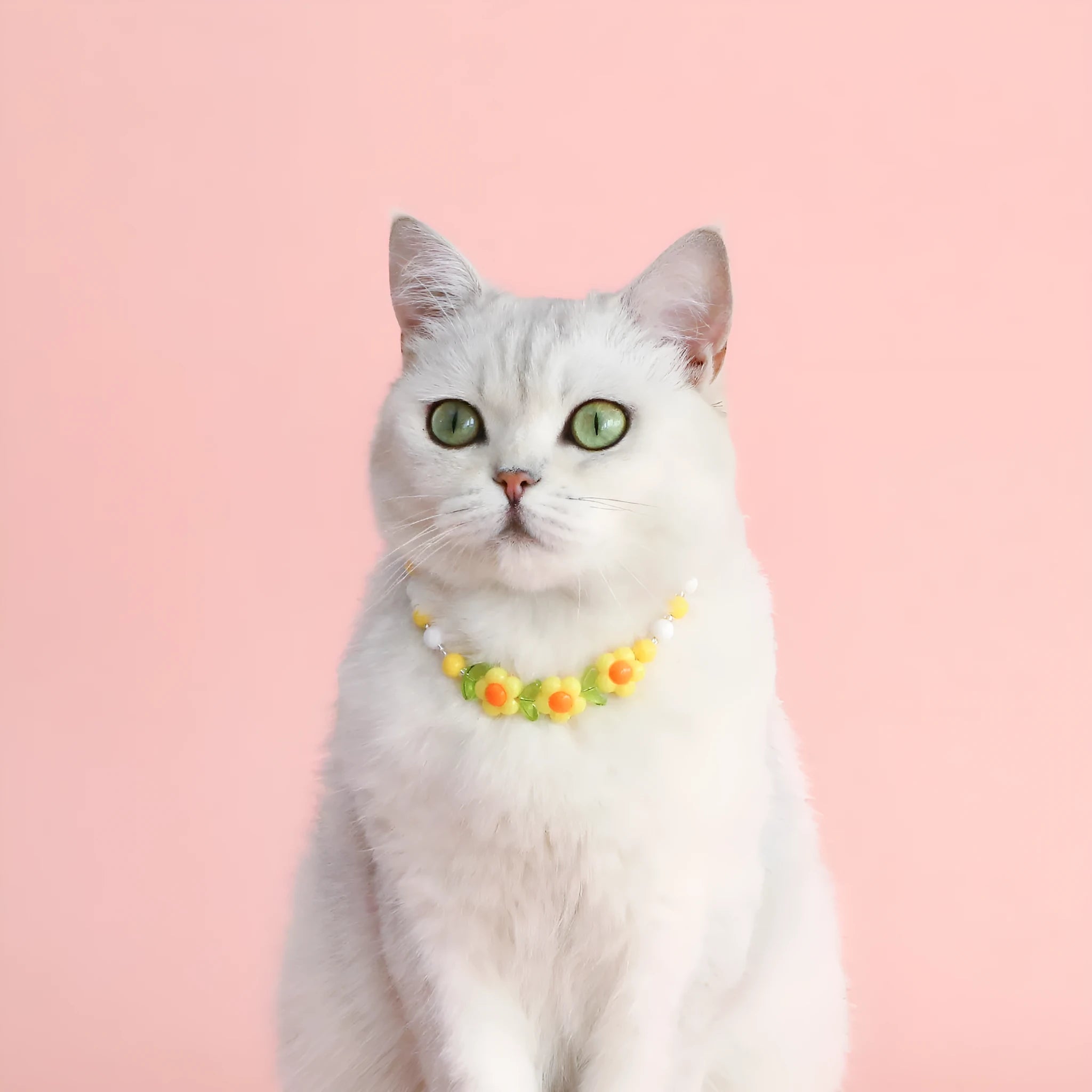 Colourful plastic bead pet necklace for a cat, showing rainbow, peach, and small flower pattern options.