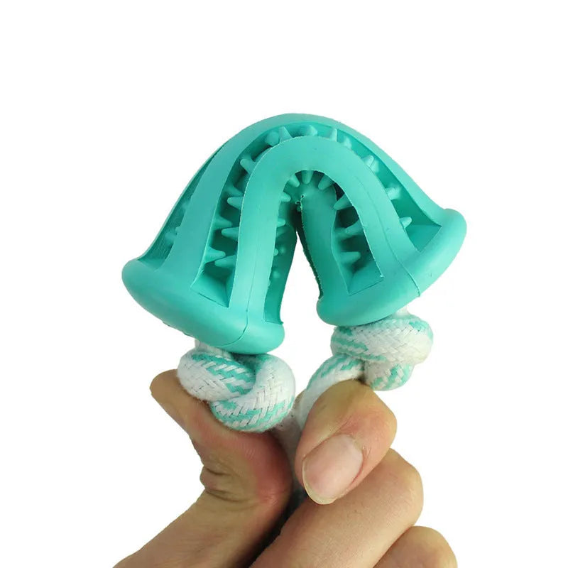 Dog molar chew toy in bone rope and spherical shapes with cotton face rope molar rod