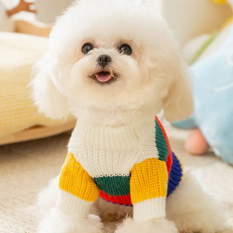 White rainbow striped knitted pet sweater for cats and dogs, soft core yarn, sizes XS to XL