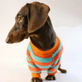 Orange, red, and white striped casual sweatshirt for a dog or cat on a hanger.