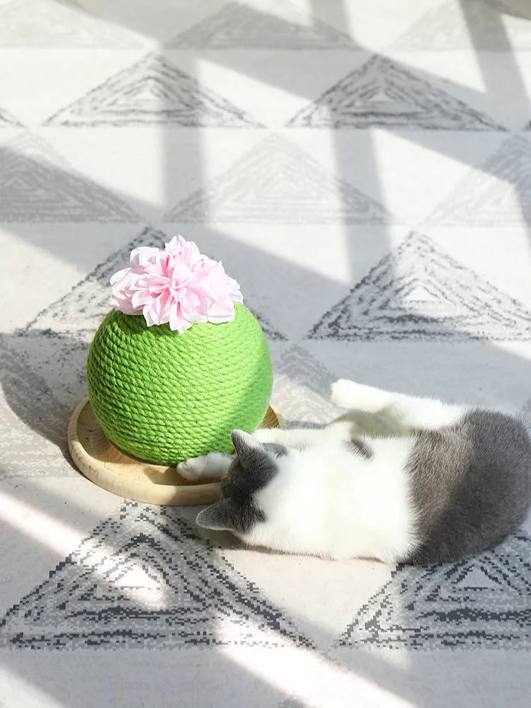 PP cactus shape cat grinding paw toy for vocal play, shown in Cat head type, Circular, or Rotary table type colour option.