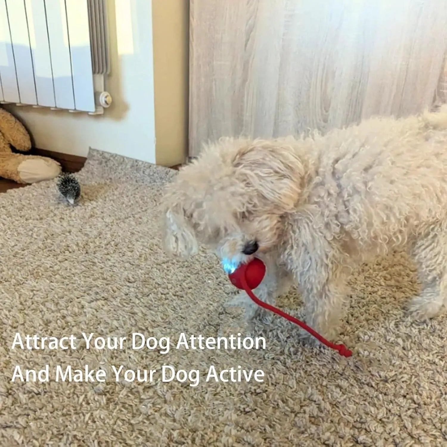 Automatic rolling ball toy for dogs and cats with hanging rope in red colour