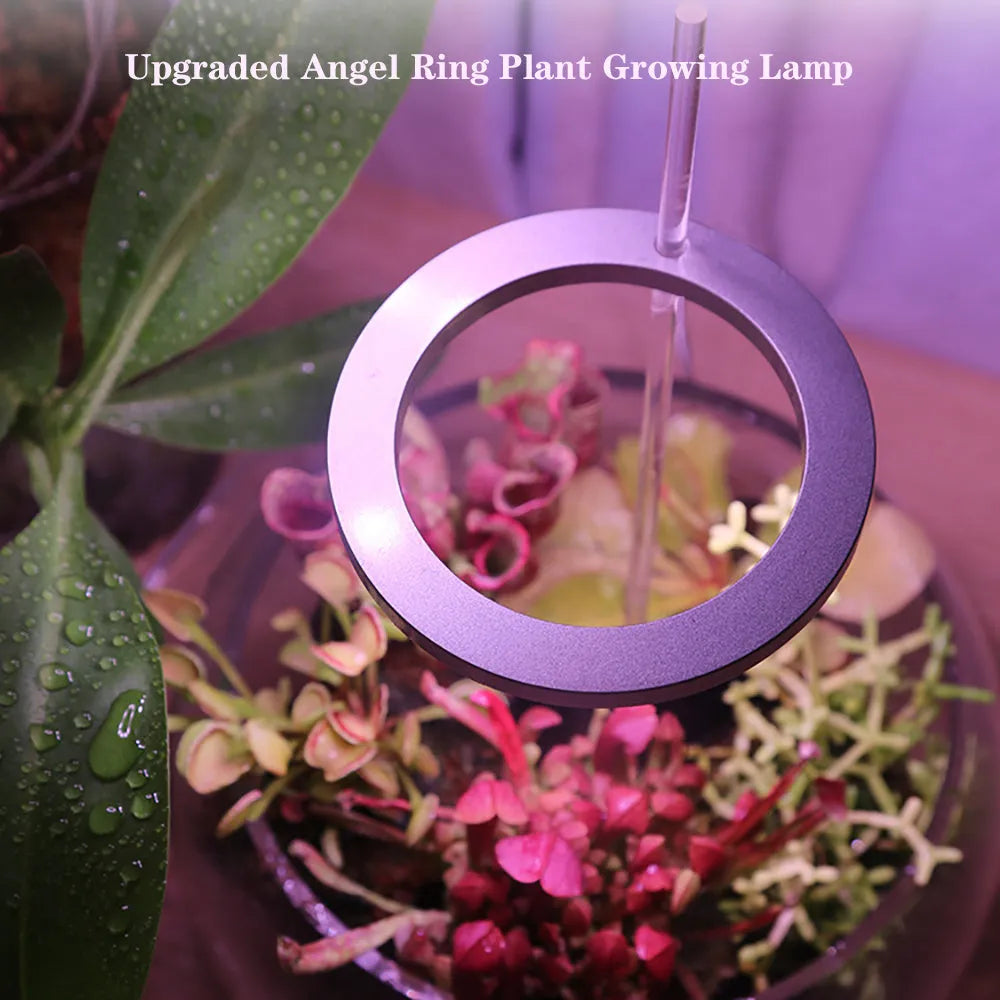 USB-powered full spectrum LED grow light with angel ring design for indoor plants