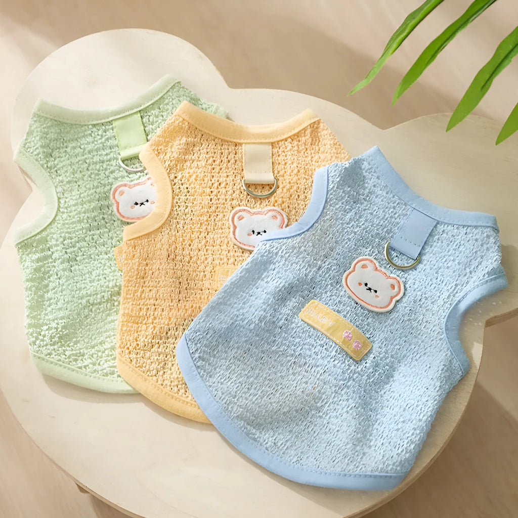 Cat wearing hollowed-out knitted clothes with bear patch decoration in blue colour