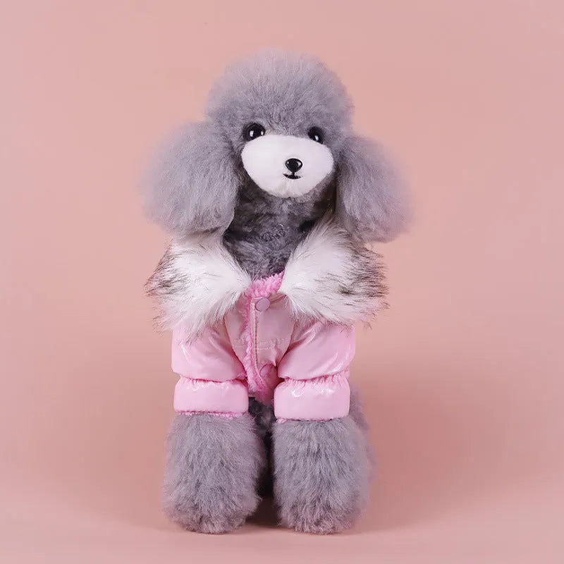 Blue, red, and pink British style cotton down jacket for dogs on a winter background.