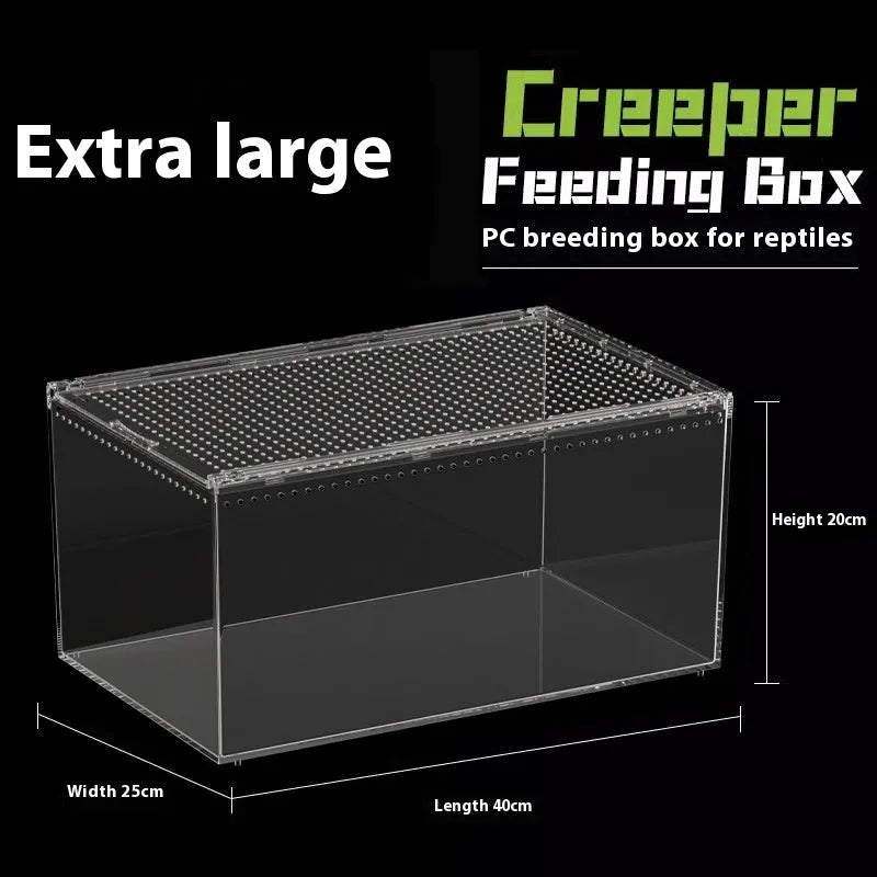 Clear acrylic reptile feeding box with five size options for different reptile species