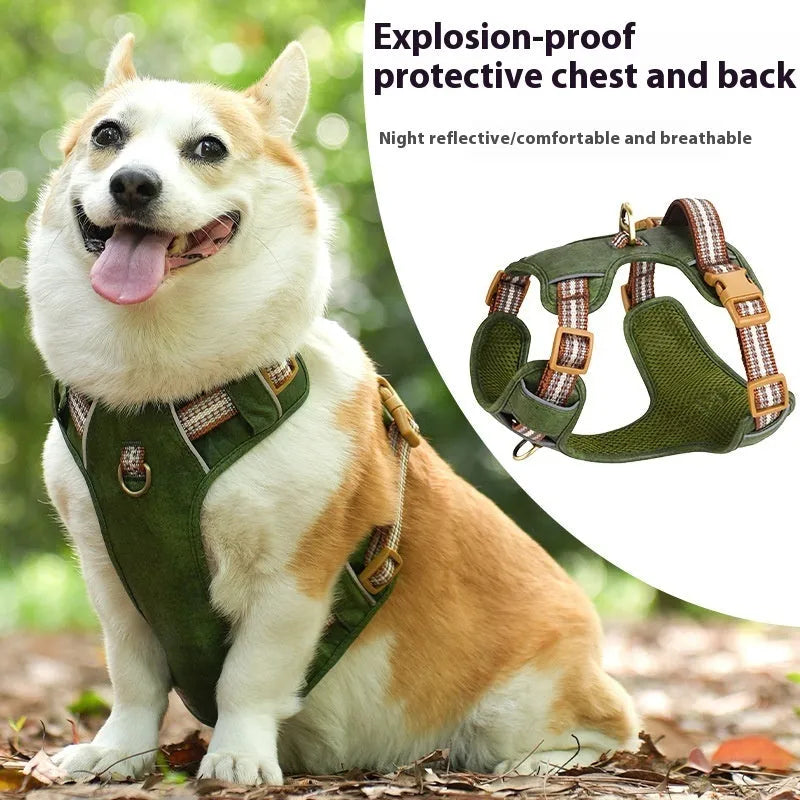 Brown explosion-proof reflective leather dog harness shown on dog with traditional design