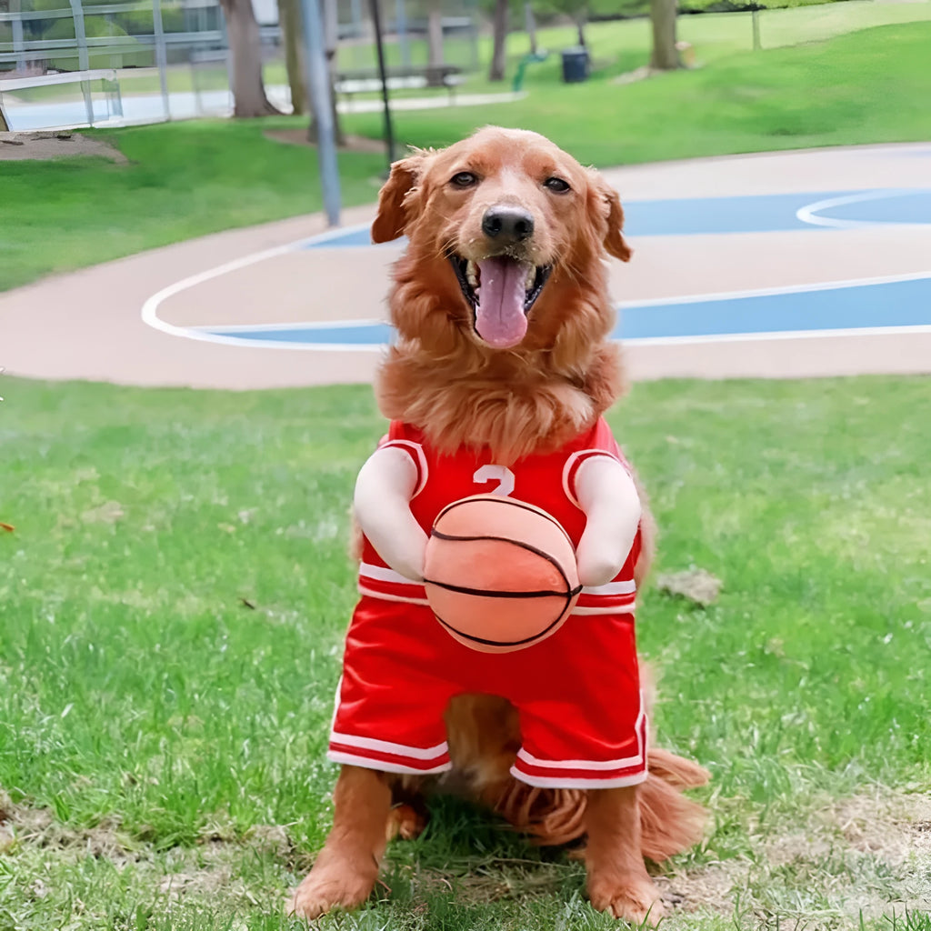 Red and yellow dog basketball costumes with attached ball element in small, medium and large sizes
