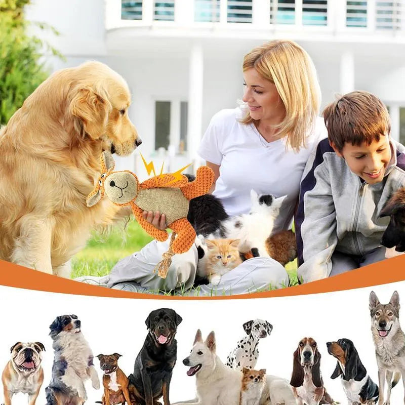 Plush squeaky dog toys in donkey, elephant, orangutan, and rabbit shapes for teeth cleaning and play