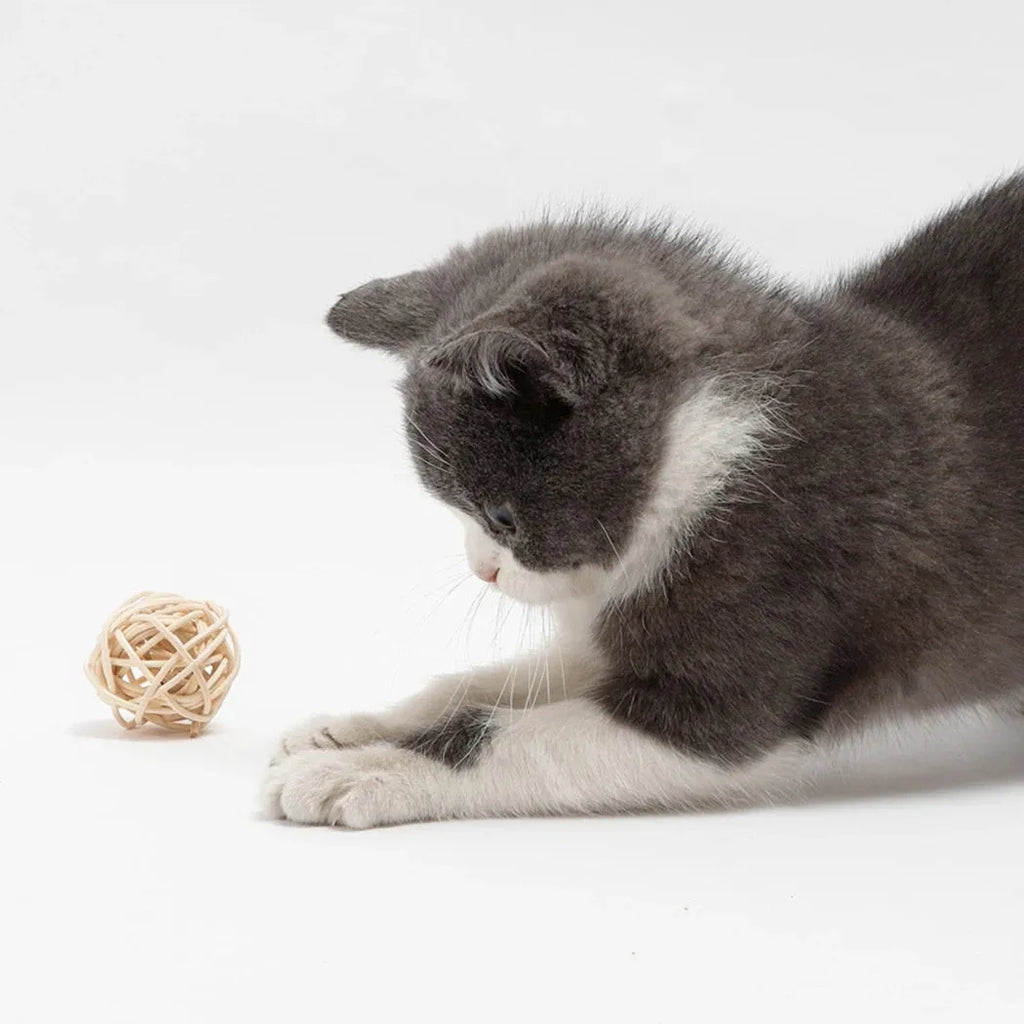 Two-piece cat toy set showing rattan ball and faux feather ball with bell