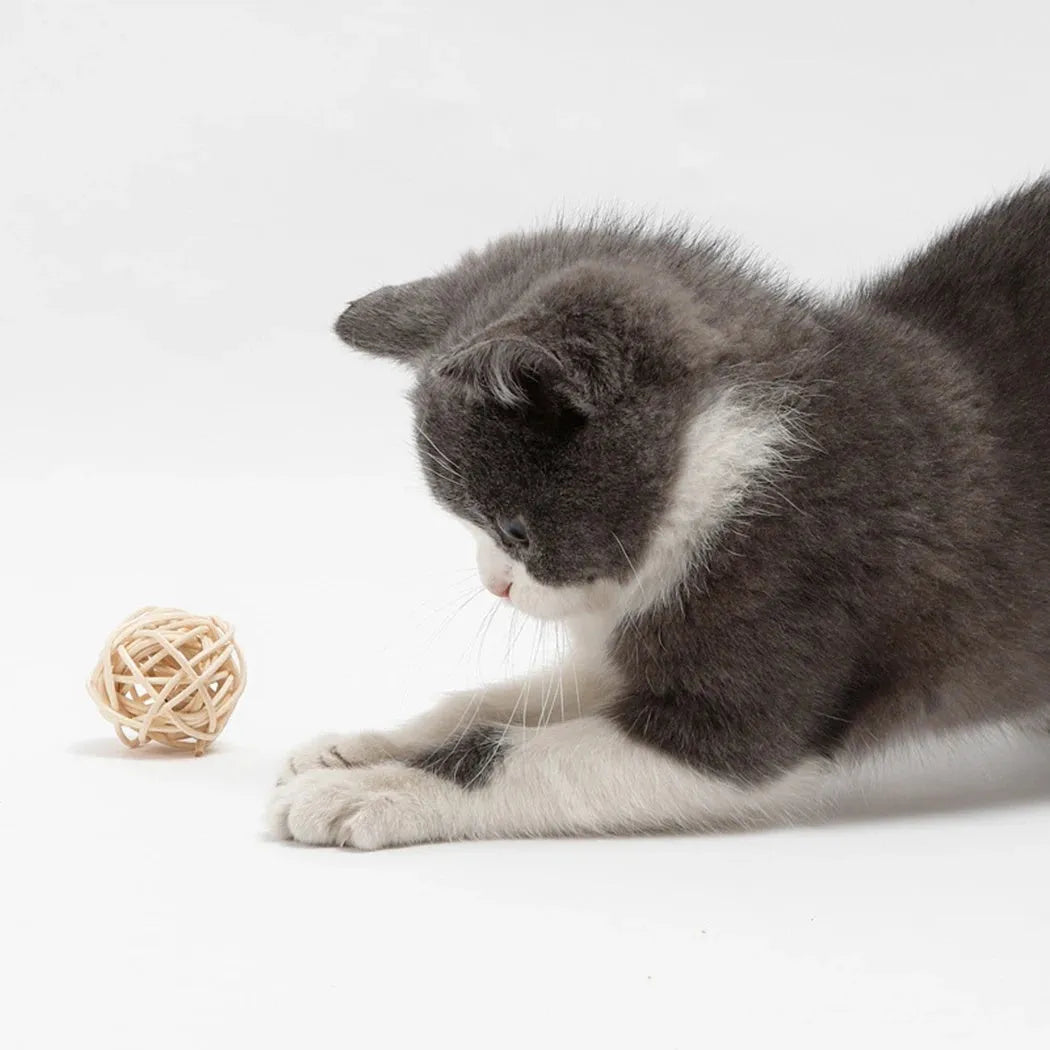 Two-piece cat toy set showing rattan ball and faux feather ball with bell