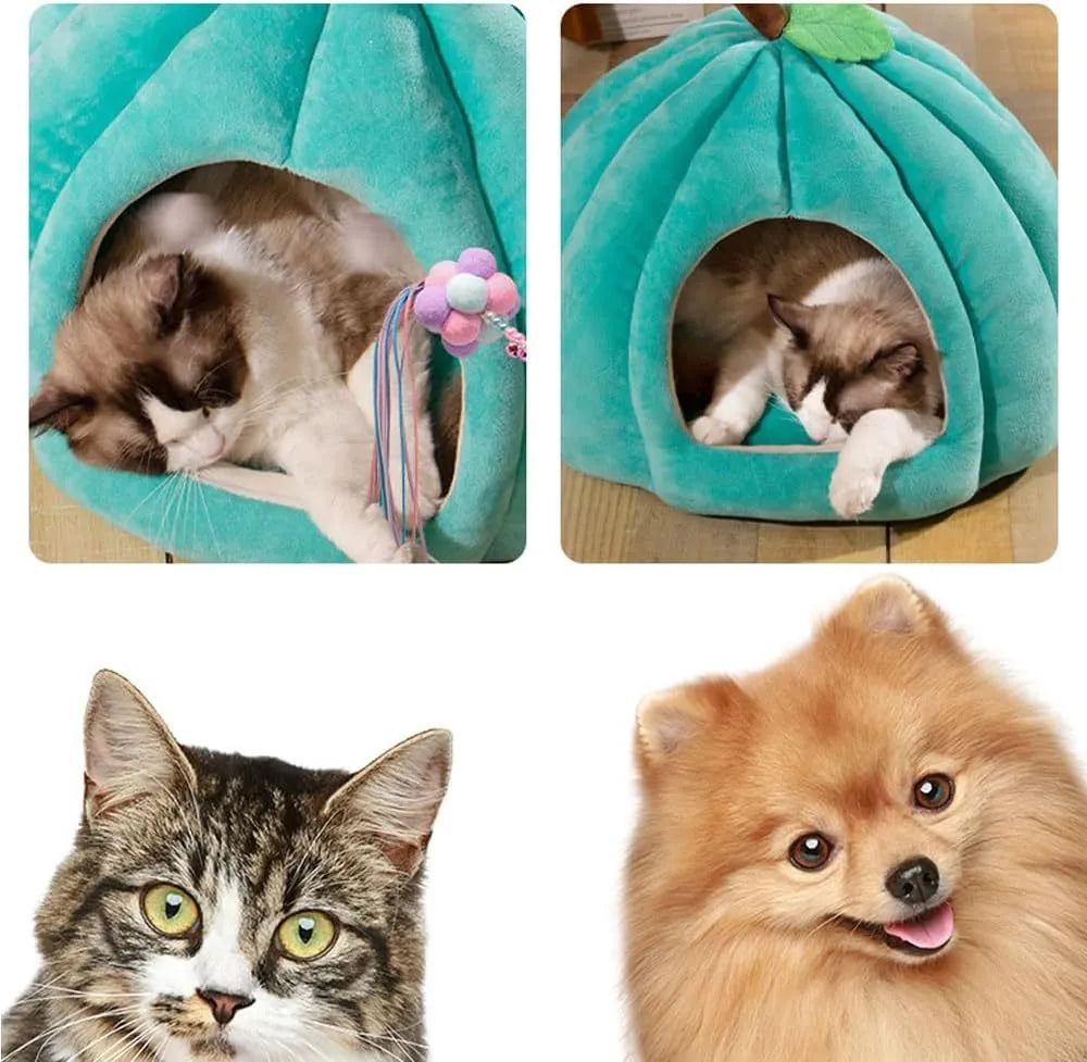 Orange pumpkin-shaped cat cave bed with plush entry hole on a wooden floor