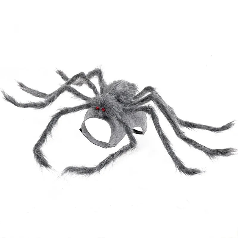 Halloween spider costume for pets on dog showing eight-legged design