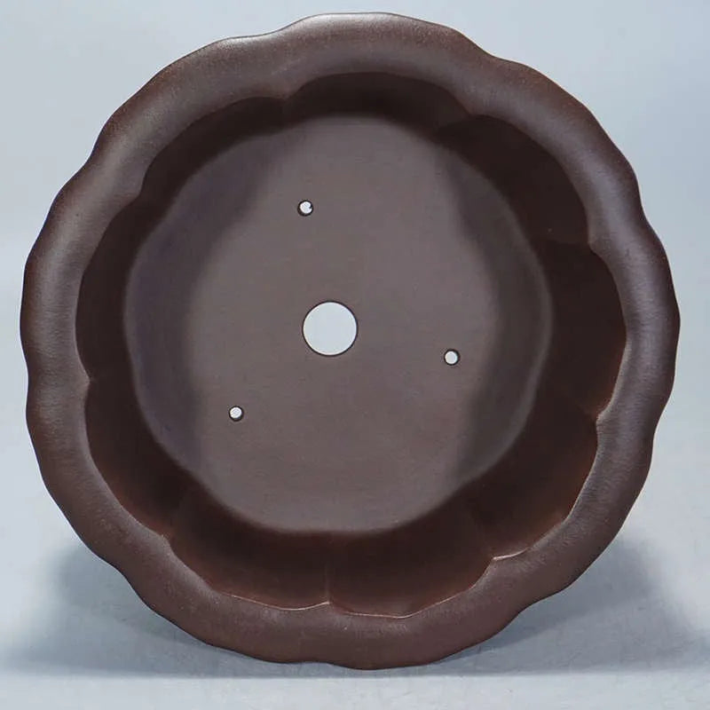 Antique style purple sand succulent flowerpot with petal basin design.