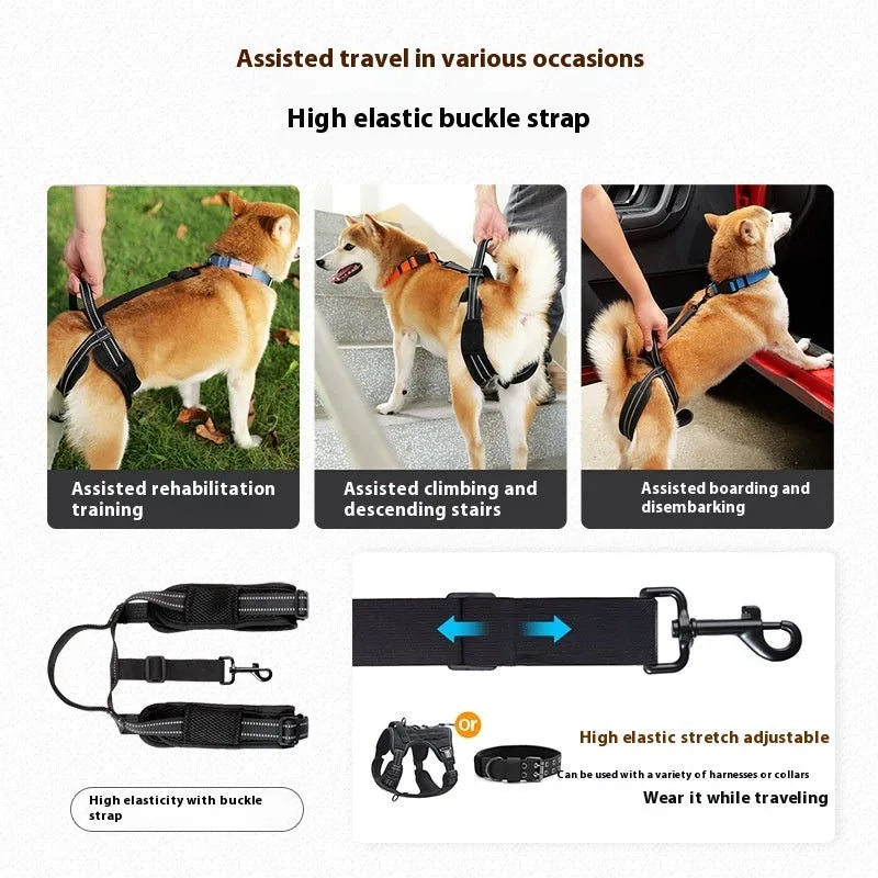 Black polyester pet rehabilitation hind legs auxiliary strap on a flat surface, with size label visible