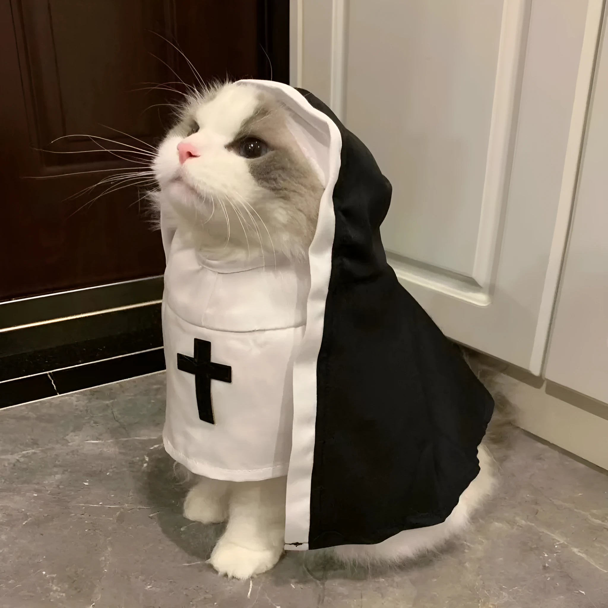 Black and white nun cloak costume for a small dog on a mannequin