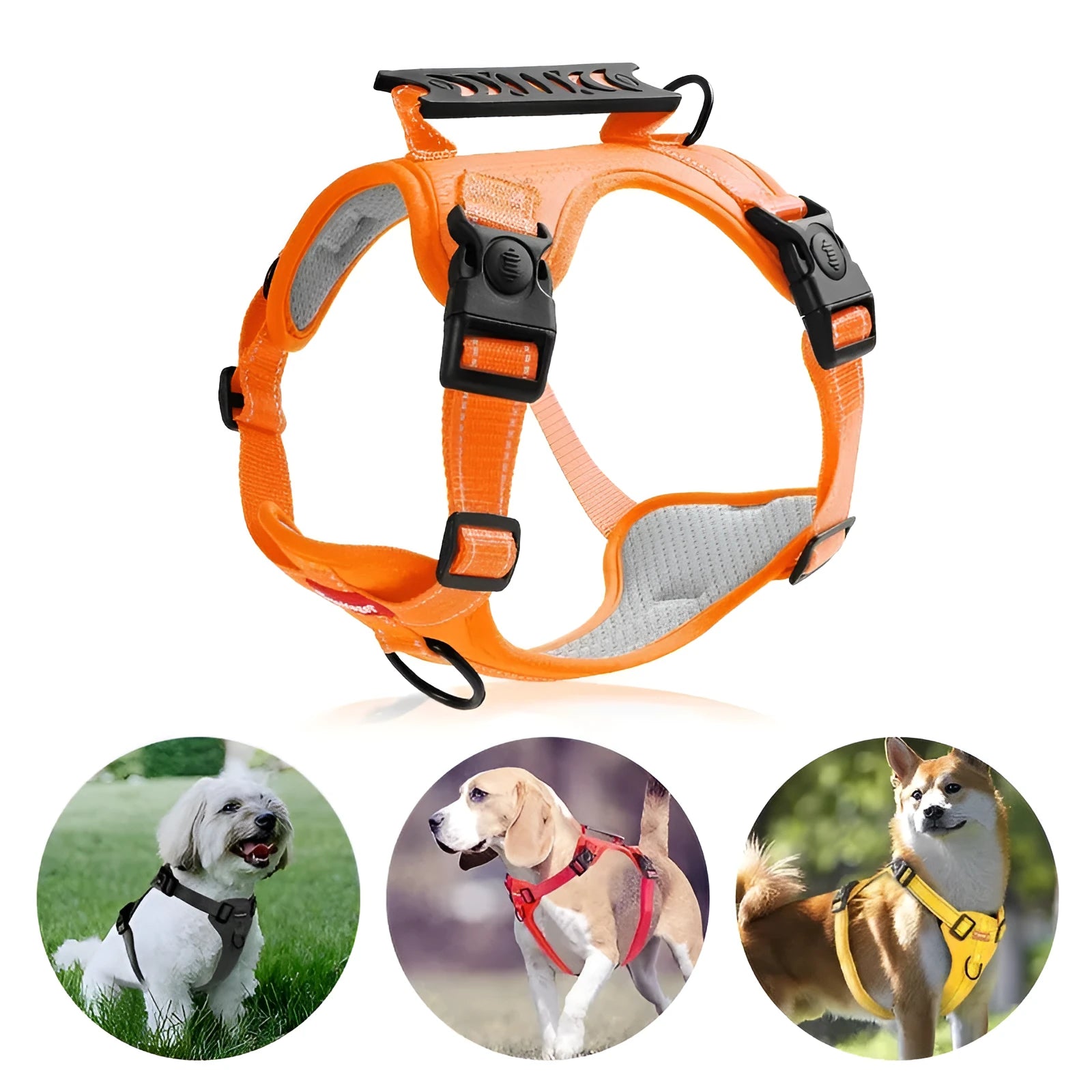 Polyester dog chest harness traction rope in multiple colours and sizes for secure walking.