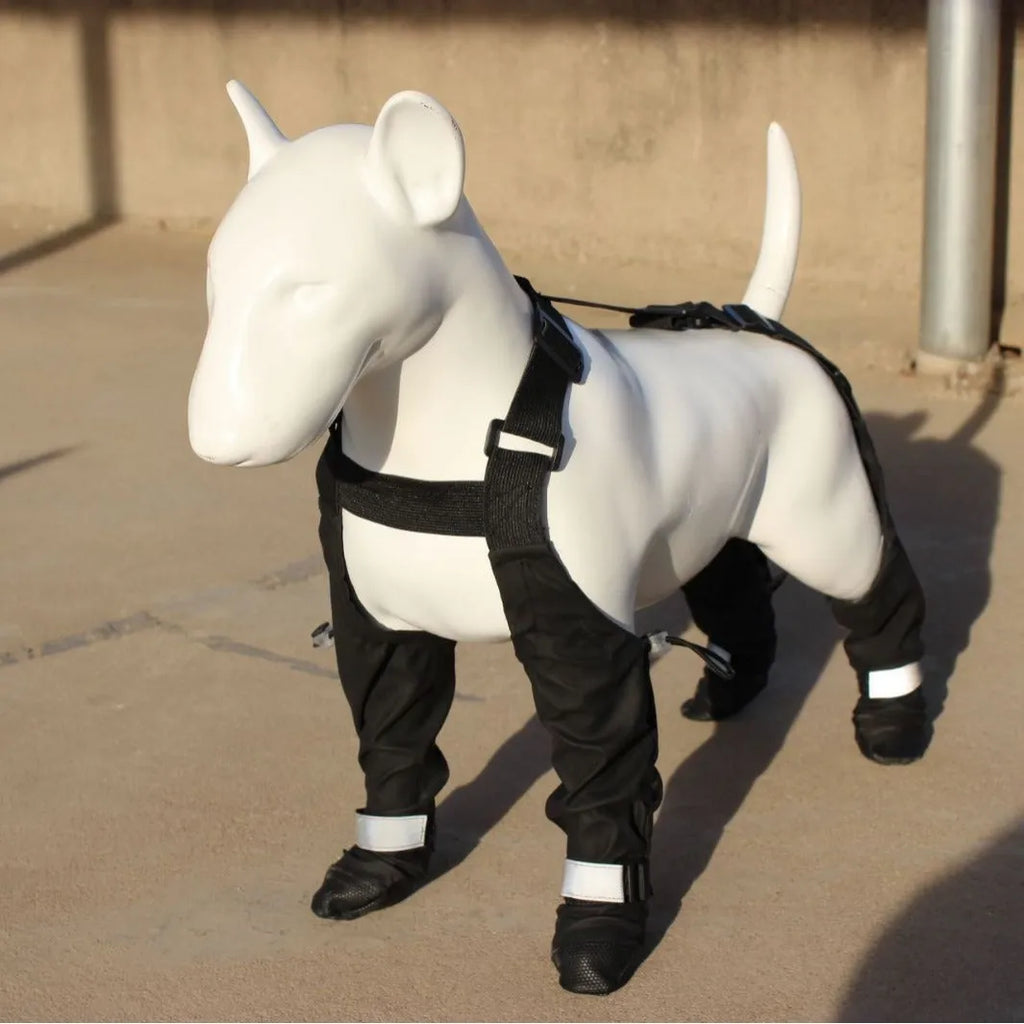 Black waterproof dog shoes with adjustable straps and non-slip soles for paw protection