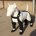 Black waterproof dog shoes with adjustable straps and non-slip soles for paw protection