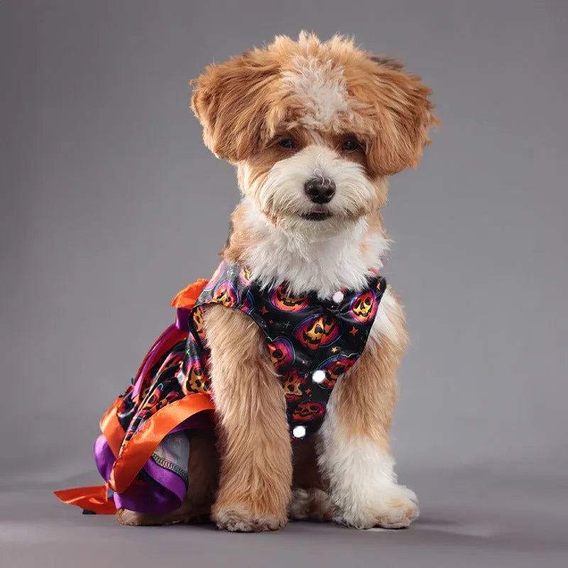Halloween dog skirt with adjustable waistband in colourful pumpkin design