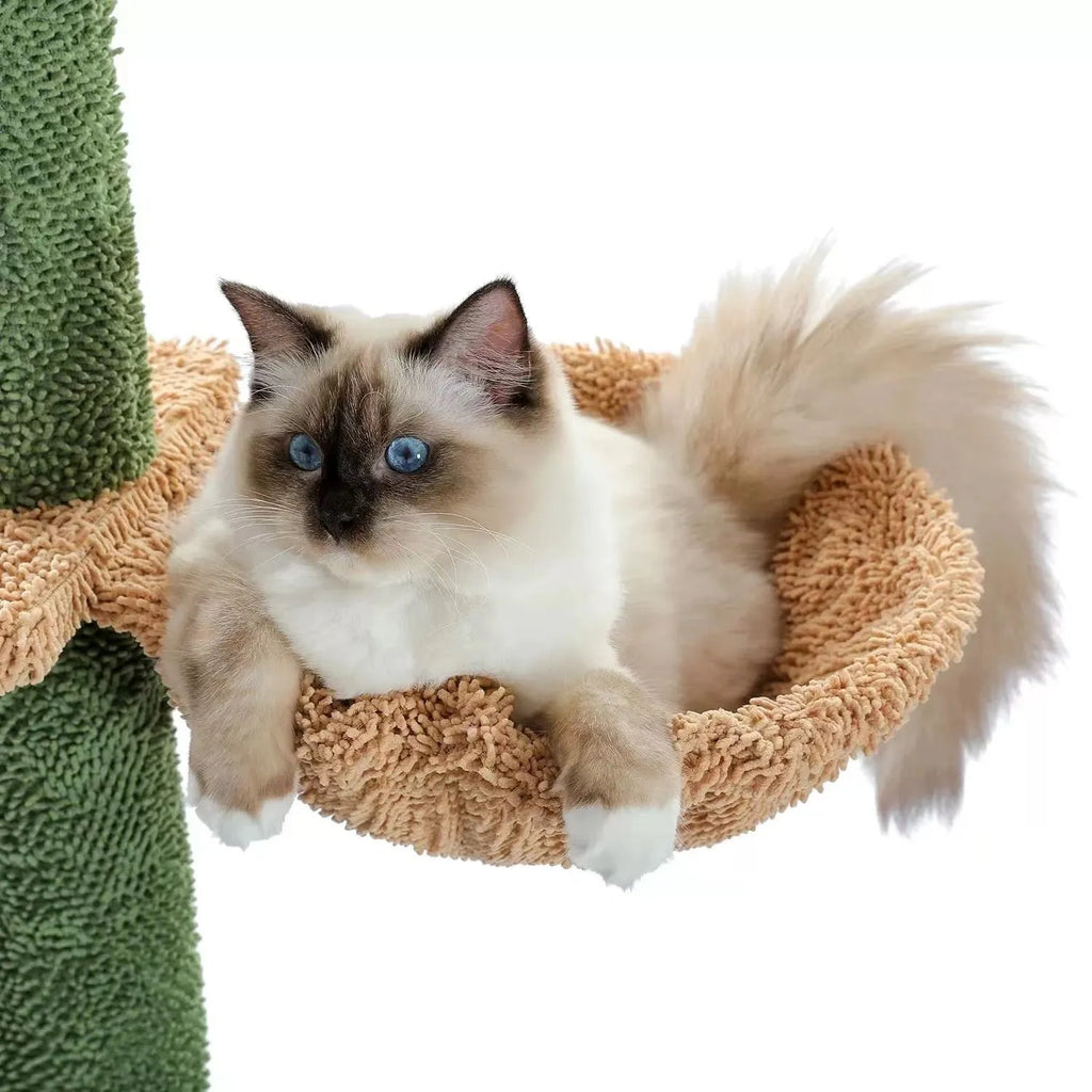 Tall solid wood cat tree with integrated scratch board, cat nest, and toy for large cats.