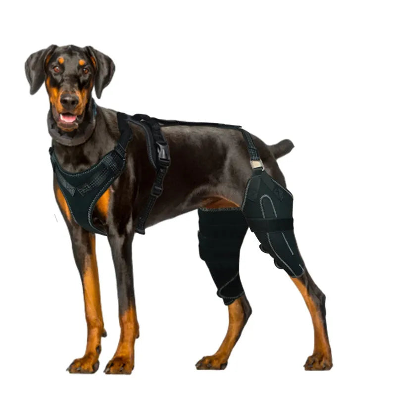 Black polyester dog thigh protective sleeve with adjustable metal support on canine leg
