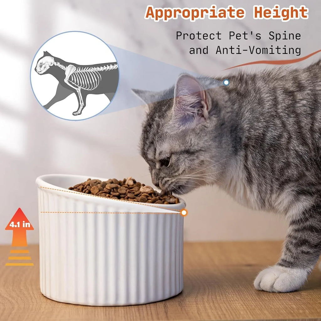 A dark green ceramic elevated cat bowl showing its raised height and round, whisker-friendly shape.