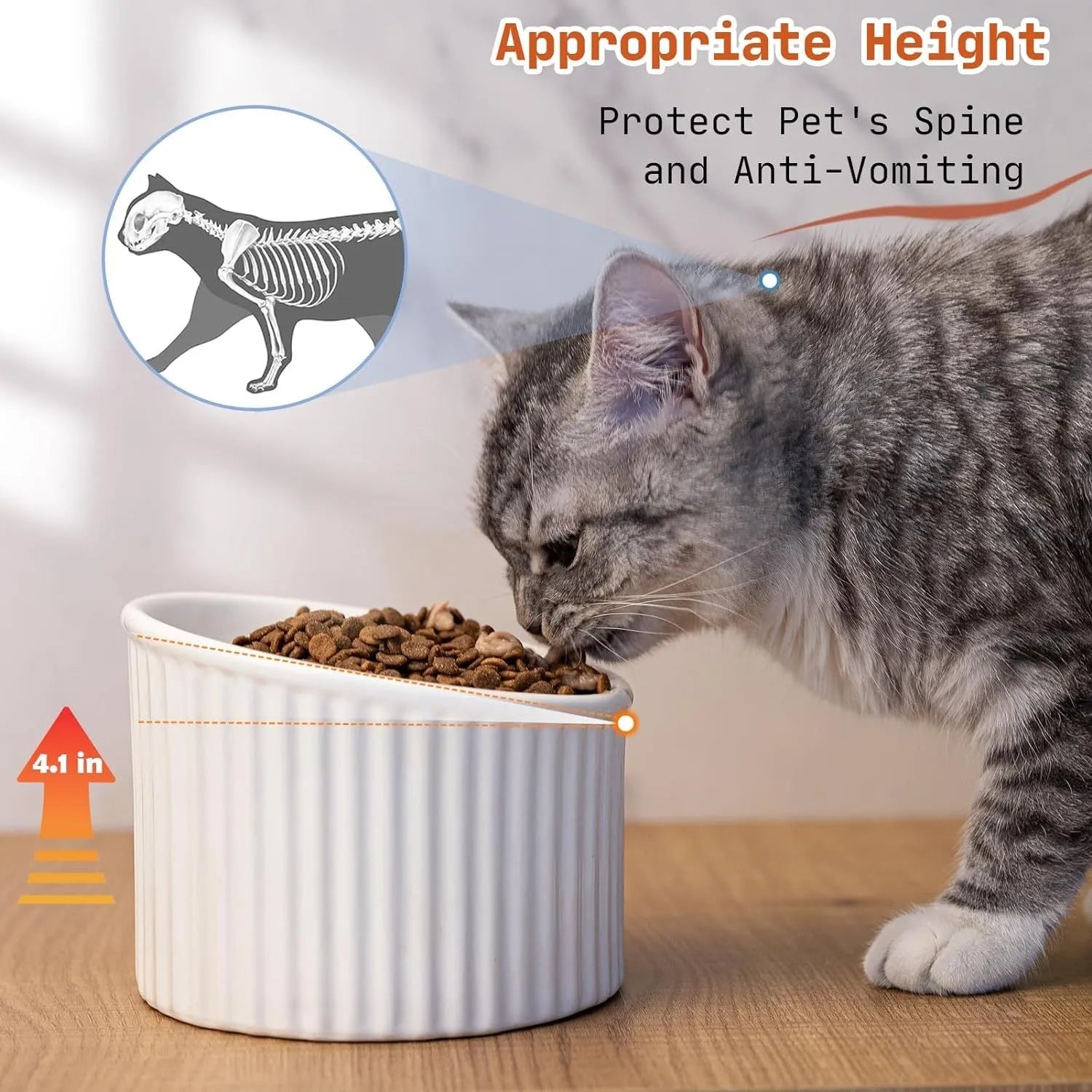 A dark green ceramic elevated cat bowl showing its raised height and round, whisker-friendly shape.