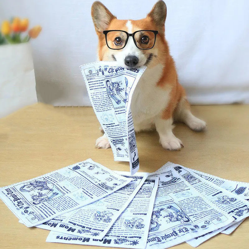 Realistic newspaper texture dog toy that produces squeaking sounds during play