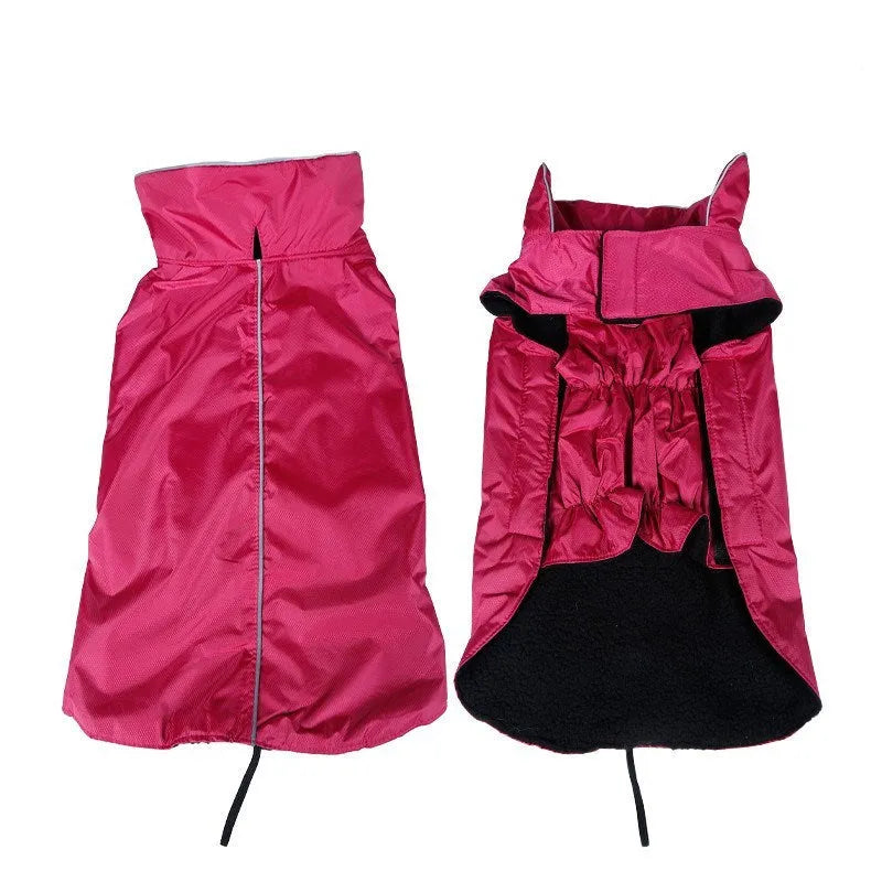 Waterproof dog vest in blue tarpaulin material on a dog outdoors in rain