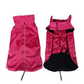 Waterproof dog vest in blue tarpaulin material on a dog outdoors in rain