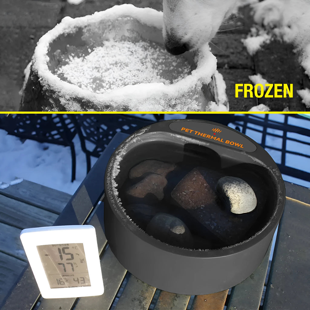 Black electric heated pet bowl for cats and dogs with constant temperature warming feature.