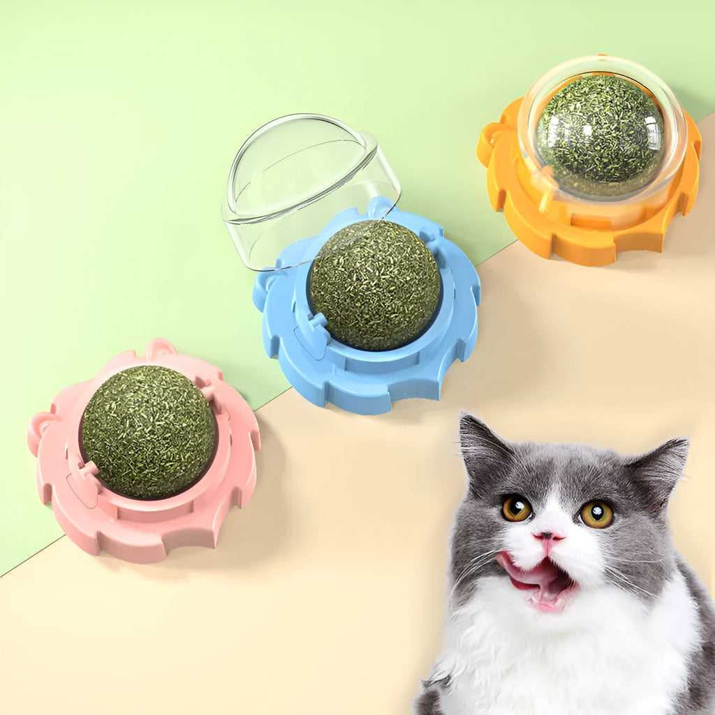Orange PP plastic cat toy shaped like a molar tooth with textured chewing surfaces