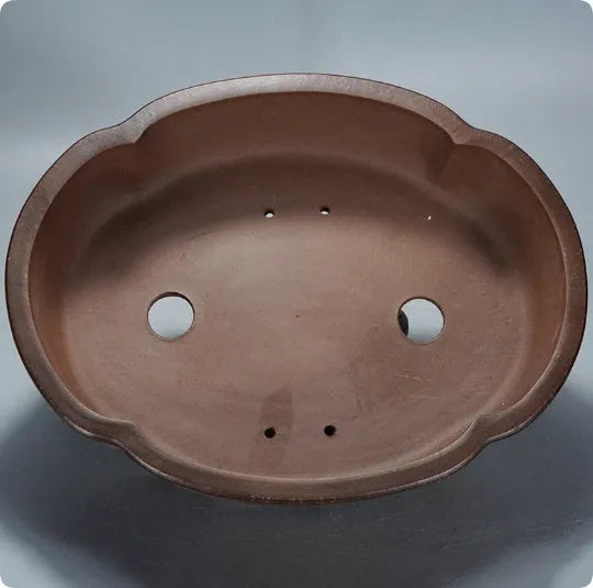 Large classical purple clay bonsai pot with simple green plant styling.
