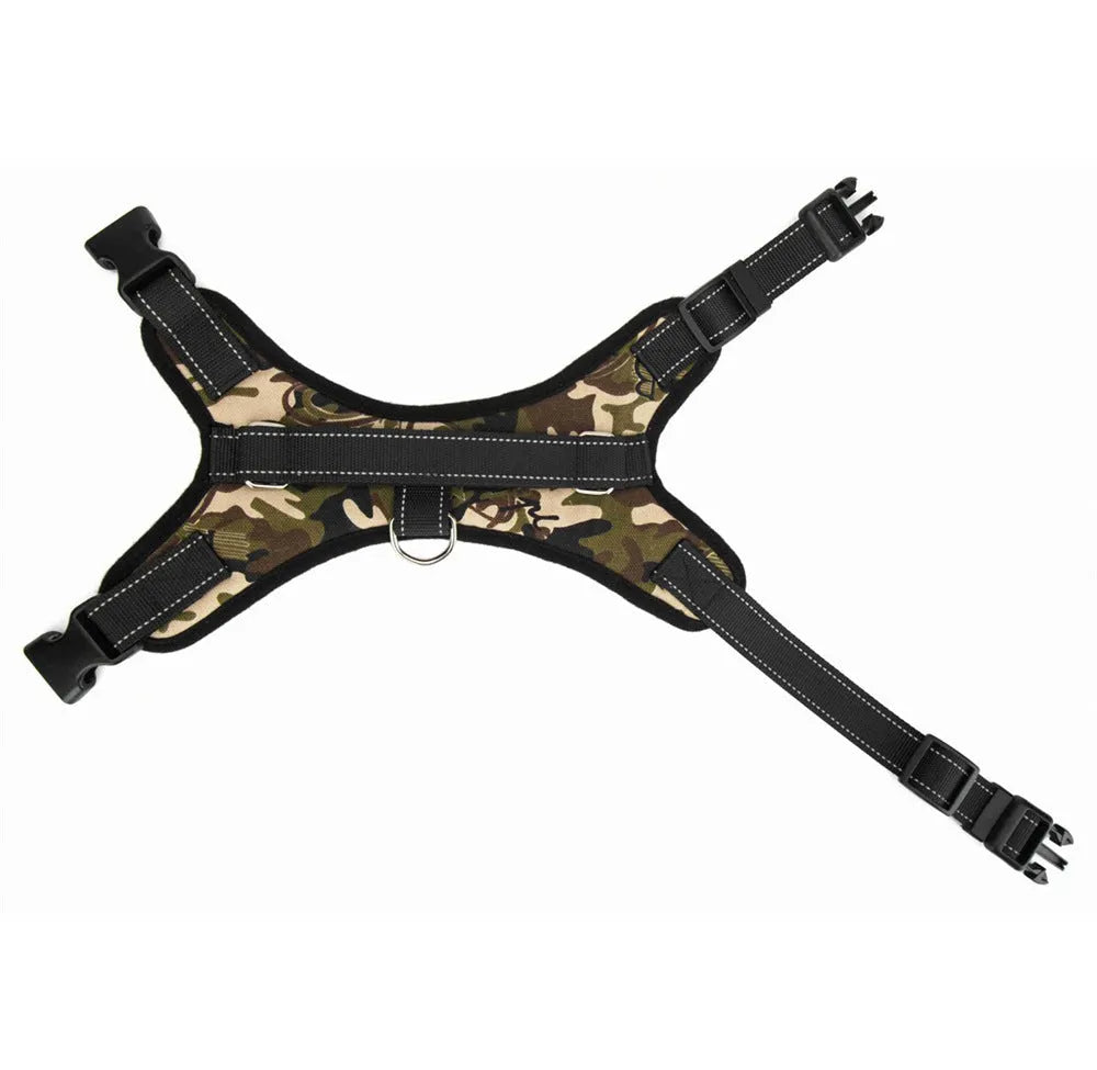 Black nylon dog collar with matching lead on a dog's neck, set on a plain background.