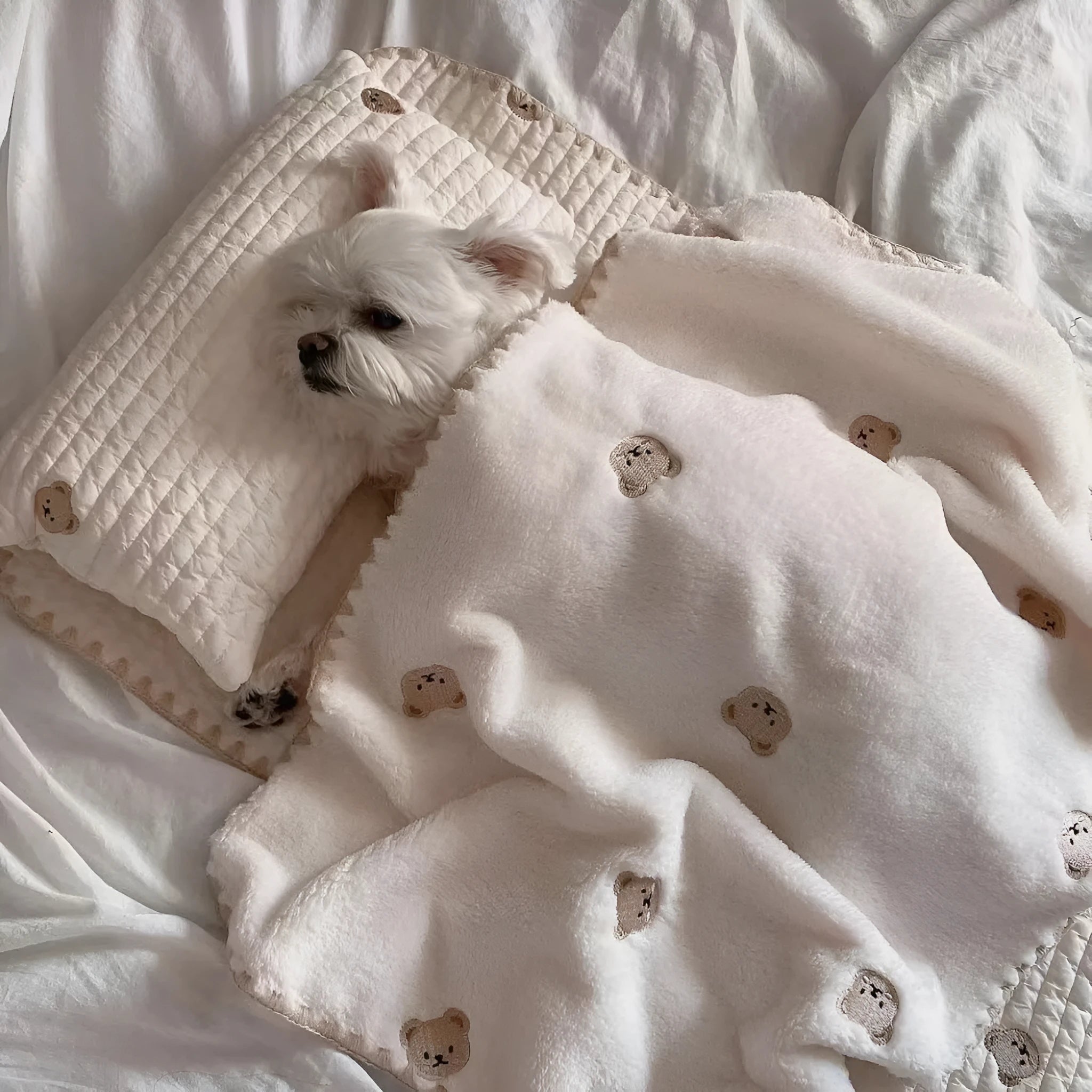 Simple bear print square dog bed set with pillow, mattress, and quilt on a floor.