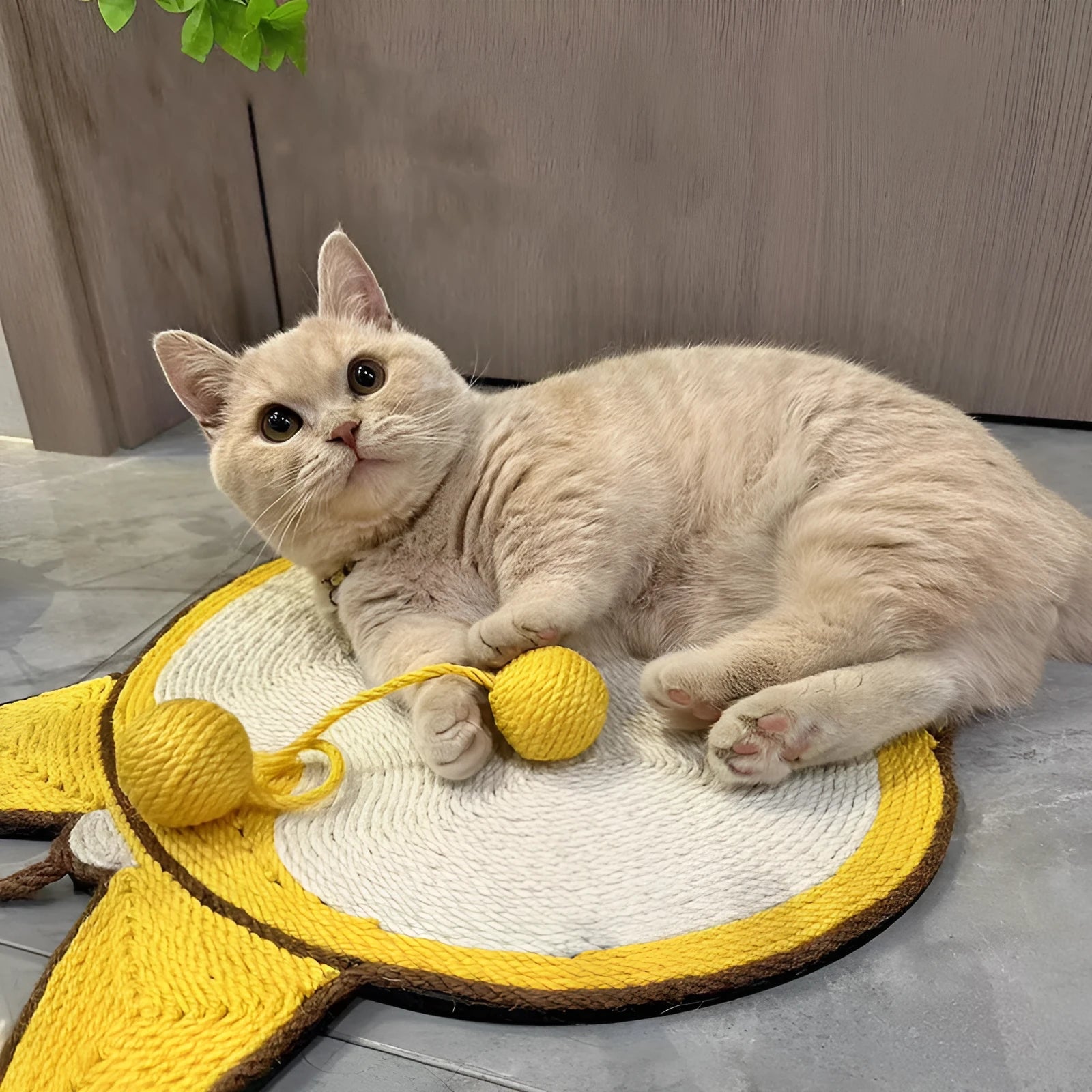 Yellow rectangular sisal cat scratching pad with Corgi butt design on a white background