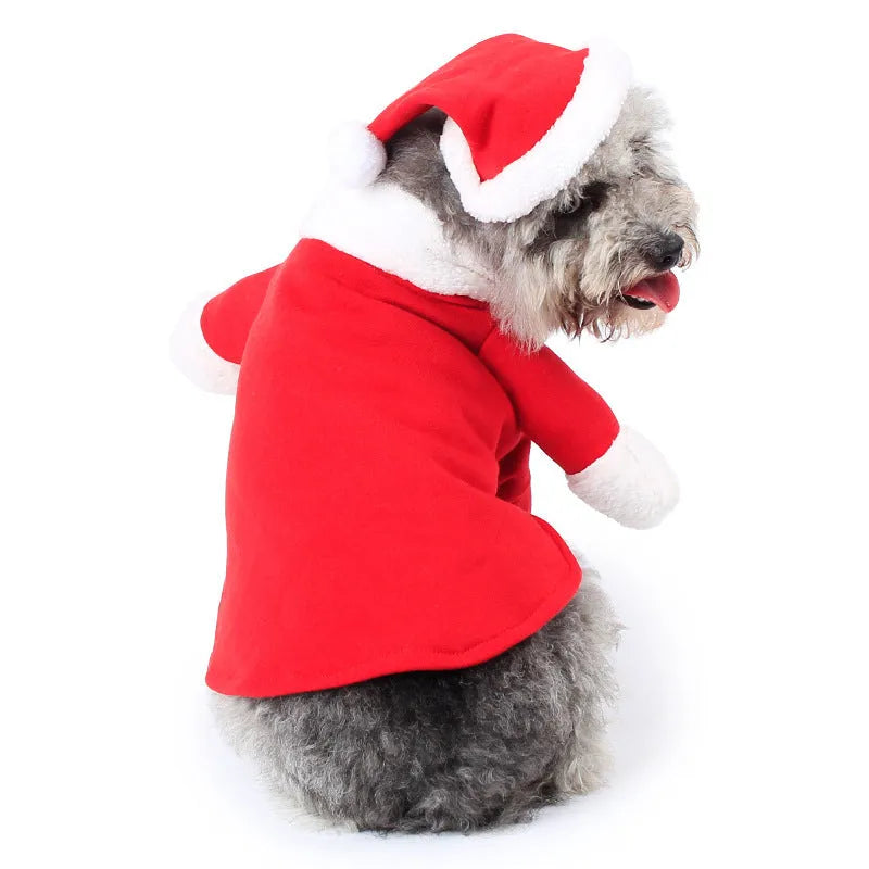 Red polar fleece Santa Claus costume for a small dog standing on a festive background.