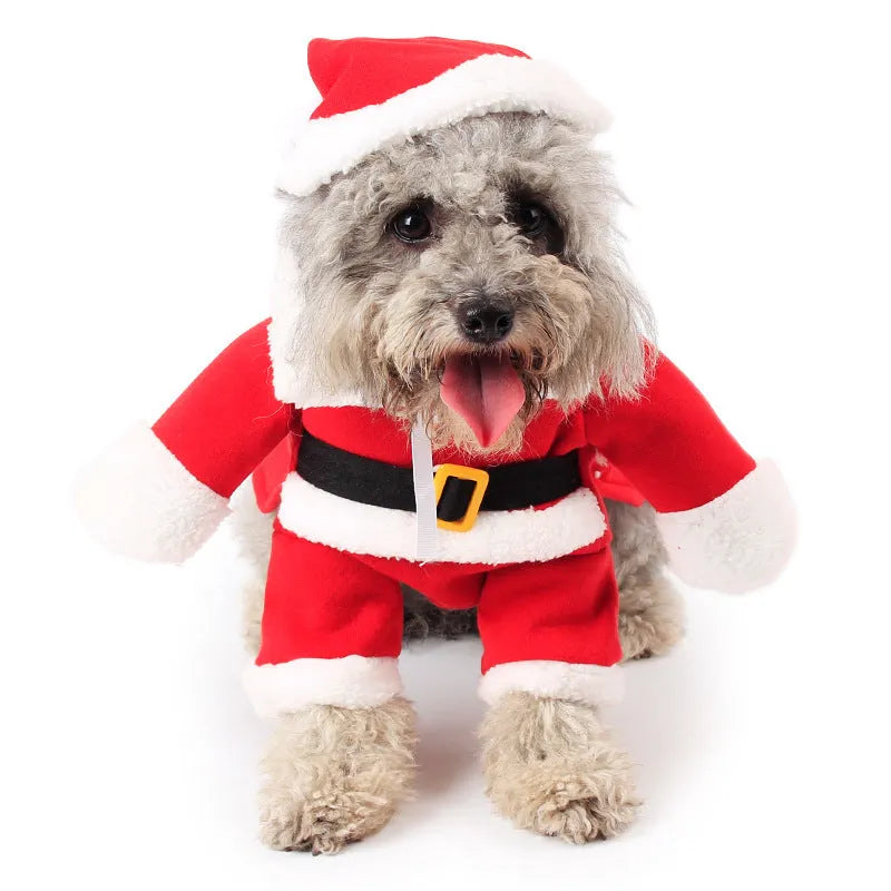 Red polar fleece Santa Claus costume for a small dog standing on a festive background.