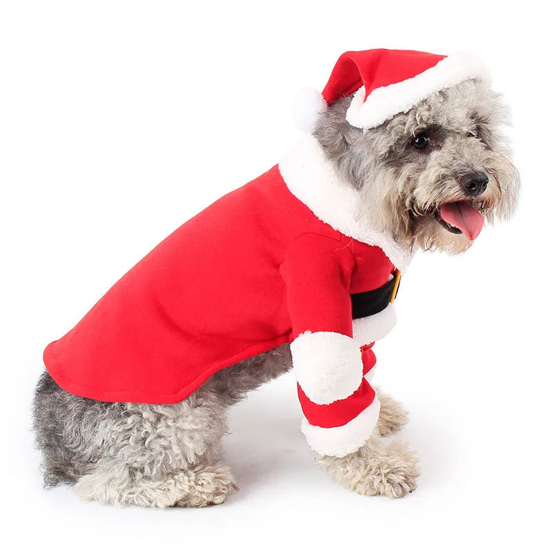 Red polar fleece Santa Claus costume for a small dog standing on a festive background.